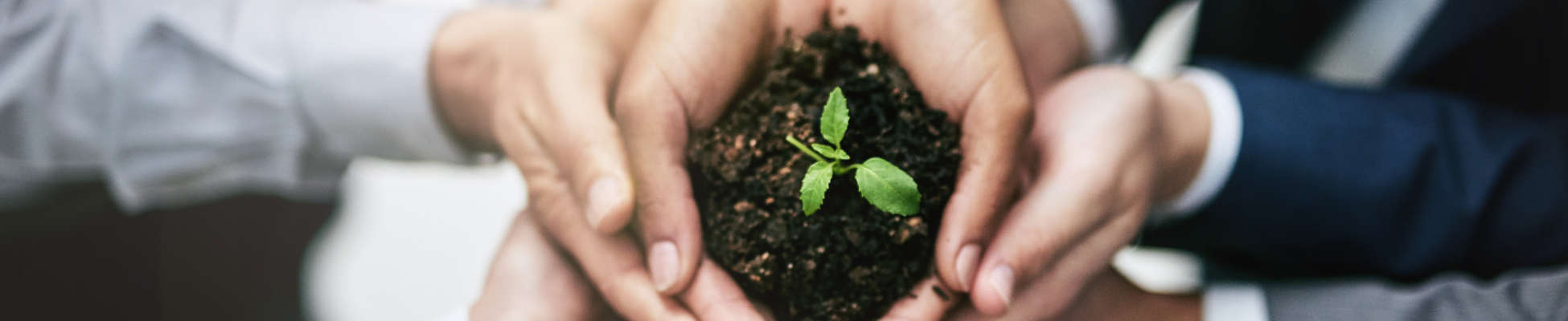 Responsabilidad Social